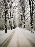 Two-Bedroom Townhouse