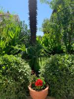 Villa Nera Vodice - B&B Vodice