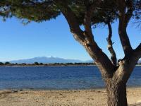 Appartement climatisé 4 pers, vue Lac, parking inclus - FR-1-81-66 - Chambres d'hôtes Port Leucate