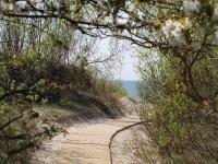 Appartamento Monolocale