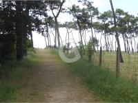 Maison pour 6 avec Wi-Fi, 500m plage, jardin clos, parking - La Tranche-sur-Mer - FR-1-357-78 - B&B La Tranche-sur-Mer
