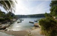 Apartment Dolce Vita - 40 m to the sea & Beach-sleeps 3 - B&B Milna