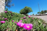 Casa Saracino - B&B Marina di Pescoluse