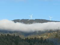 Appartement Draublick - B&B Unterpudlach