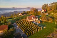 Vineyard cottage Hočevar - B&B Novo Mesto