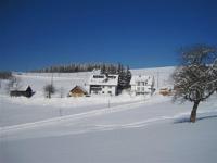 Appartement - Rez-de-Chaussée