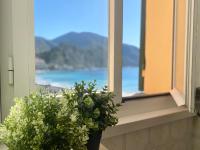 CasaViva - Sweet Bilo on the sea in Camogli - B&B Camogli