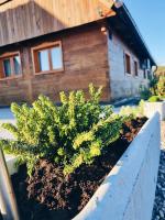 Ruralna kuća za odmor Kablarovo Brdo - Bed and Breakfast Krnjak