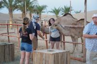 Al Khayma Camp "Elite Camping & Dining in Experience"