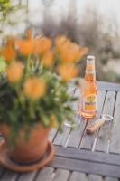 Viereinhalb Eichen - Ferienwohnung am Niederrhein - B&B Goch