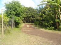 Cabañas Varua - B&B Hanga Roa