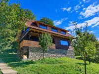 La sat - Radu Dragu - Bed and Breakfast Bertea