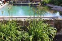 Drei-Seiten-Hof Étable mit Schwimmteich und Klimanlage - Bed and Breakfast Fuchshain