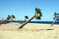 Le Charly - B&B Le Barcarès