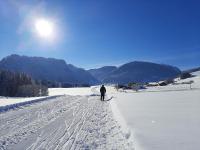 Apartment with Shower