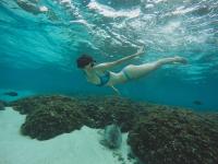 Royal Stay Thoddoo, Maldives - B&B Thoddoo