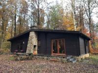 Forest Lounge - B&B Petit Mesnil