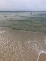 Happy Heron, Steps to Beach - Ferienwohnung Panama City Beach