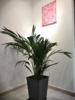 Flora Homestay in Taman Flora - B&B Batu Pahat