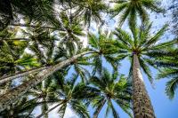 Apartment - Erdgeschoss