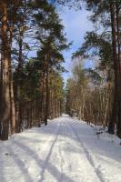 Casa de 2 dormitorios