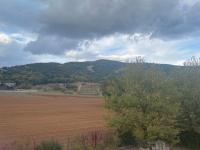 Triple Room with View