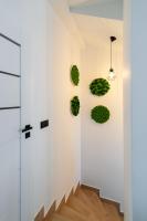 Apartament Z widokiem na las - Bed and Breakfast Witów