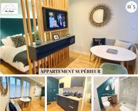 Superior Apartment