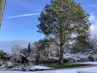Ferienwohnung Apartment Doppelzimmer in der Villa Naturpark Rheinblick, ruhig, Aussicht, Pool - Bed and Breakfast Koblenz