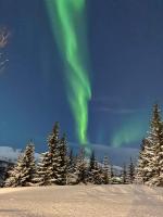Small cozy apartment - Chambres d’hôtes Tromsø