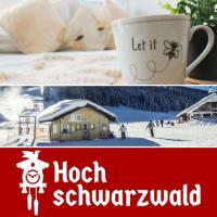 B&B Schluchsee - Apartement Nathalie - Wellness mit Pool und Sauna - Bed and Breakfast Schluchsee