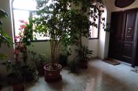 Rhome Holiday Mameli - B&B