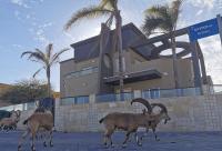 Villa Tzukim Mitzpe Ramon - B&B Mitzpe Ramon