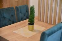 Apartman LUCIJA 9D57 Kraljevi Cardaci - B&B Kopaonik