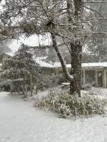 Mulberry Pines - B&B