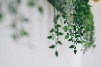 Chambre Double avec Salle de Bains Commune