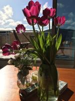 Private room with ensuite in the CBD - Bed and Breakfast Canberra