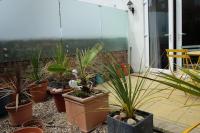 Spacious two bedroom, two bathroom Beach Nest with garden - B&B