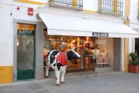 StayInn City - Évora - B&B
