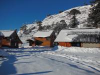 Bungalow (5 Volwassenen)