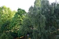 RARE : Calme et détente à Nantes ! - B&B Nantes