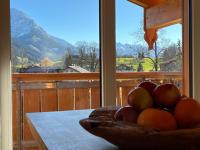 Sunnefleackle -Haus Lingenhöl - Ferienwohnung