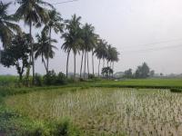 TANJORE HOME STAY - Chambres d’hôtes Tanjavûr