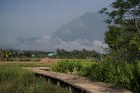 Art House at Chiangdao - StarHouse - B&B Chiang Dao