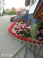 Bożenka - B&B Niechorze