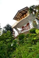 Eden View Ella - Tour options in the area - B&B