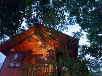 B&B Hikkaduwa - Sunlara Tree House Cabana - Bed and Breakfast Hikkaduwa