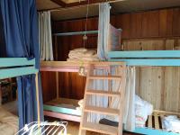 Bunk Bed in Female Dormitory Room  