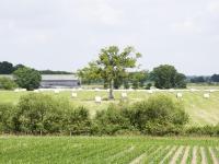 Vierbettzimmer mit Dusche