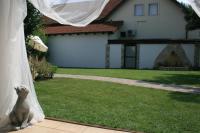 Monolocale con Terrazza